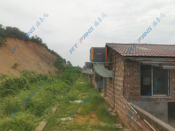 江西冷風(fēng)機,瑞泰風(fēng)冷風(fēng)機,冷風(fēng)機廠家