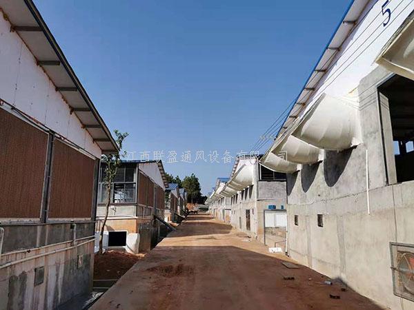 負(fù)壓風(fēng)機(jī),玻璃鋼負(fù)壓風(fēng)機(jī),鍍鋅板負(fù)壓風(fēng)機(jī)